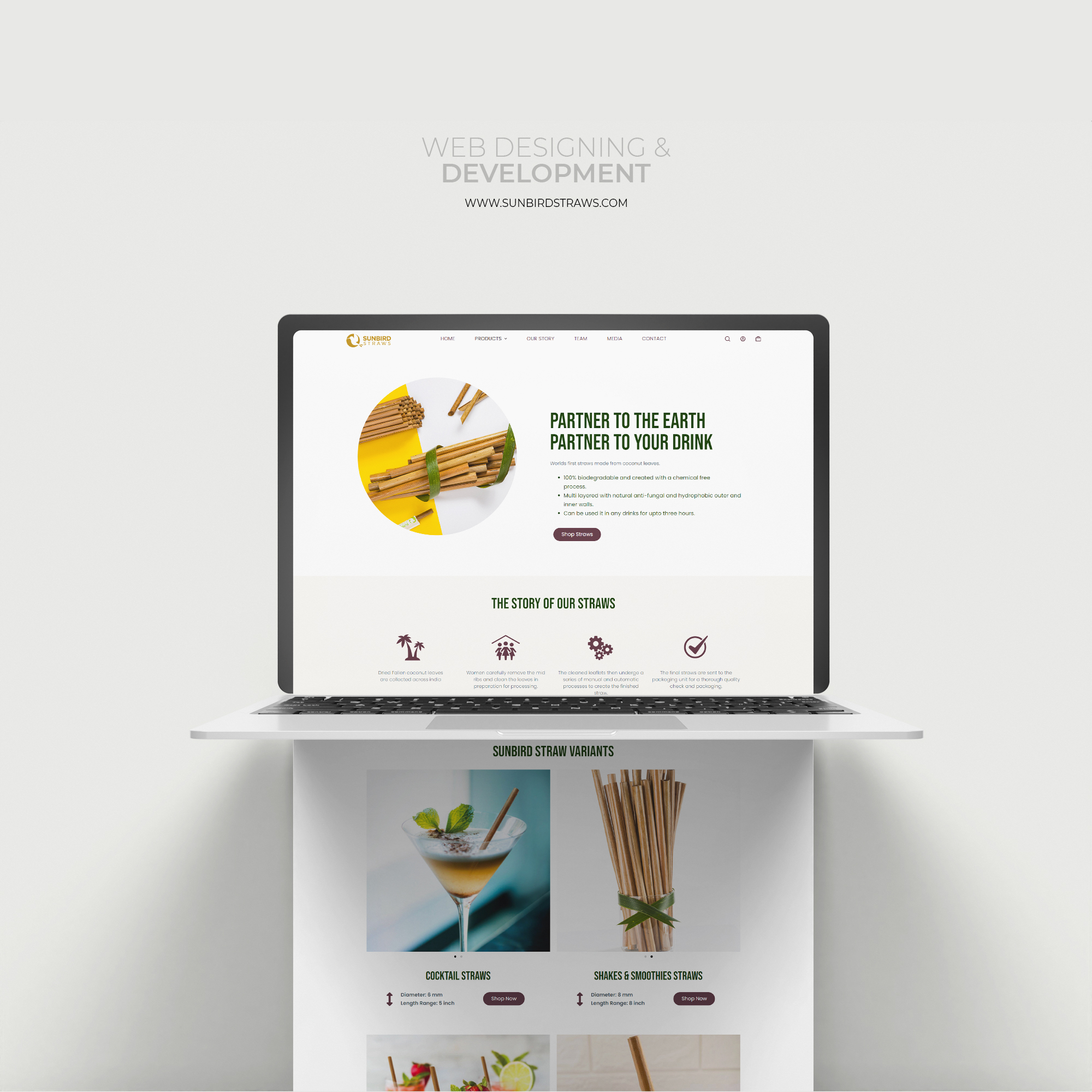 Sunbird Straws Website detail 1